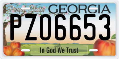 GA license plate PZO6653