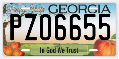 GA license plate PZO6655