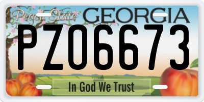 GA license plate PZO6673