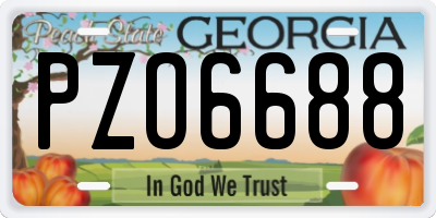 GA license plate PZO6688