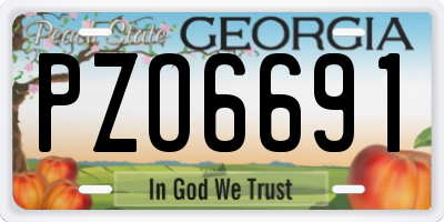GA license plate PZO6691