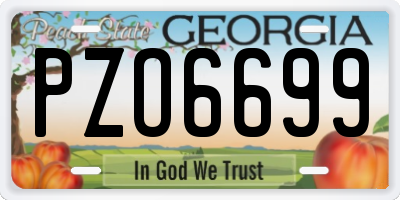 GA license plate PZO6699