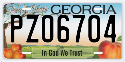 GA license plate PZO6704