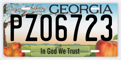 GA license plate PZO6723