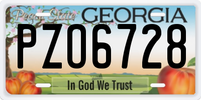 GA license plate PZO6728