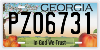 GA license plate PZO6731