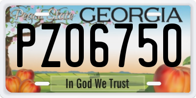 GA license plate PZO6750