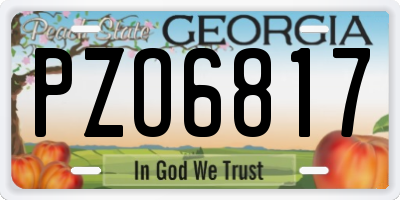 GA license plate PZO6817