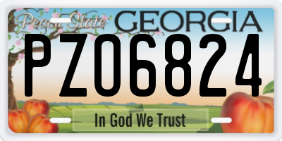 GA license plate PZO6824