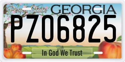 GA license plate PZO6825