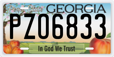 GA license plate PZO6833