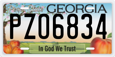GA license plate PZO6834