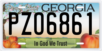GA license plate PZO6861