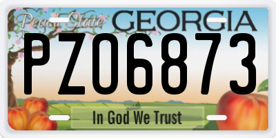 GA license plate PZO6873