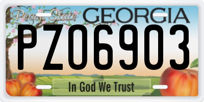 GA license plate PZO6903