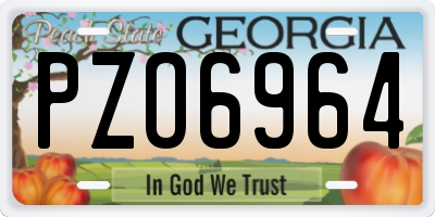 GA license plate PZO6964