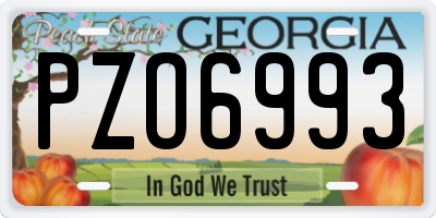 GA license plate PZO6993