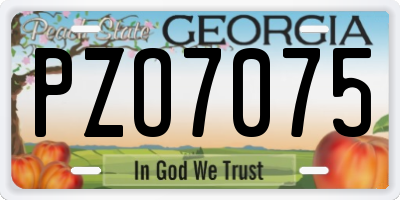 GA license plate PZO7075