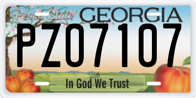 GA license plate PZO7107
