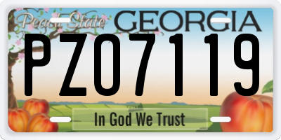 GA license plate PZO7119