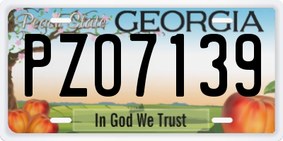 GA license plate PZO7139