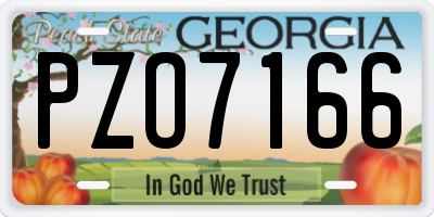 GA license plate PZO7166