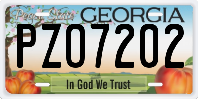 GA license plate PZO7202