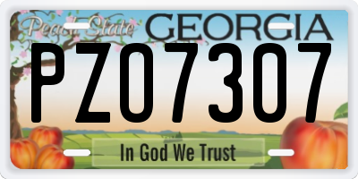 GA license plate PZO7307