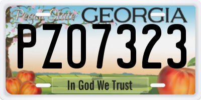 GA license plate PZO7323