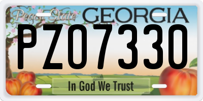 GA license plate PZO7330