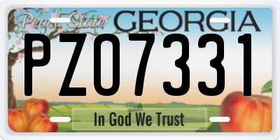 GA license plate PZO7331