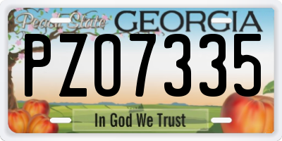 GA license plate PZO7335