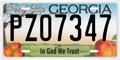 GA license plate PZO7347