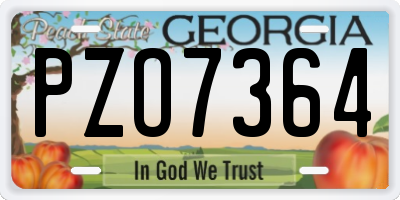 GA license plate PZO7364