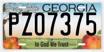 GA license plate PZO7375