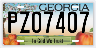 GA license plate PZO7407