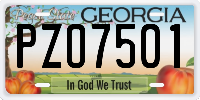 GA license plate PZO7501