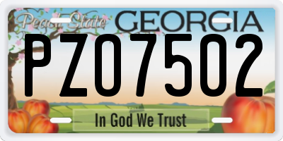 GA license plate PZO7502