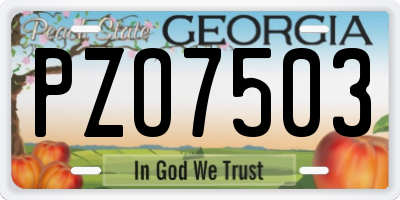 GA license plate PZO7503