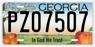 GA license plate PZO7507