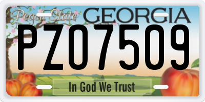 GA license plate PZO7509