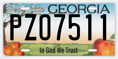 GA license plate PZO7511