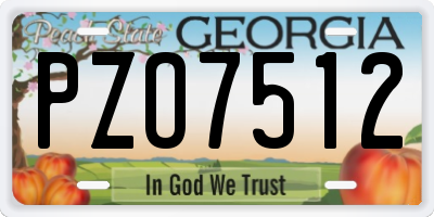 GA license plate PZO7512