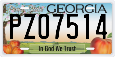 GA license plate PZO7514