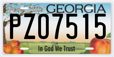 GA license plate PZO7515