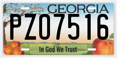 GA license plate PZO7516