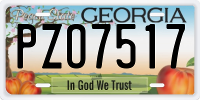 GA license plate PZO7517