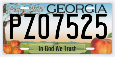 GA license plate PZO7525