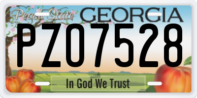 GA license plate PZO7528