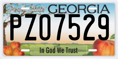 GA license plate PZO7529